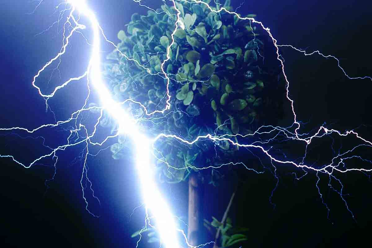 Vedci našli spôsob ako hacknúť fotosyntézu a vytvoriť čistú energiu
