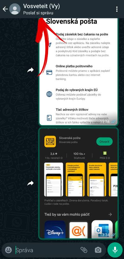 WhatsApp uzamknuty chat_1