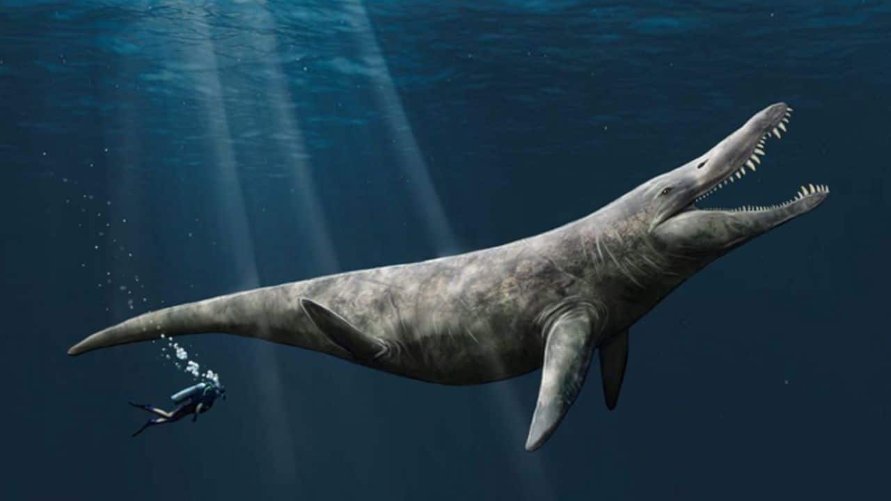 morske monstrum Liopleurodon