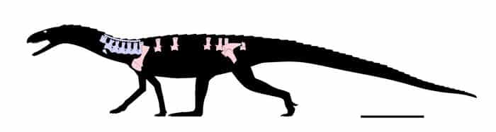 Low-Res_Madagascar reptile reconstruction color