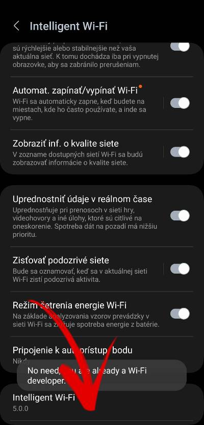 Samsung vyvojarske nastavenia Wi-Fi_5