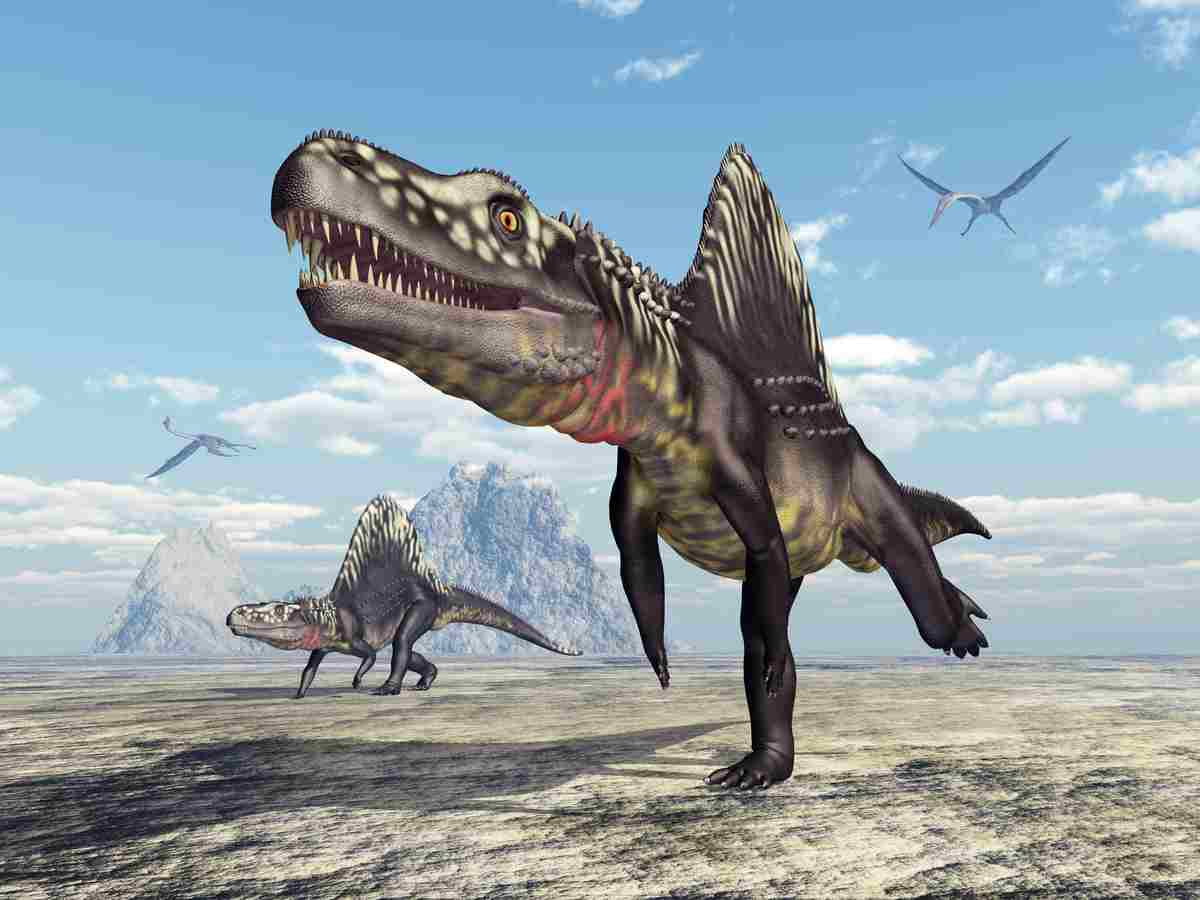 archosaur historicky predok dinosaura