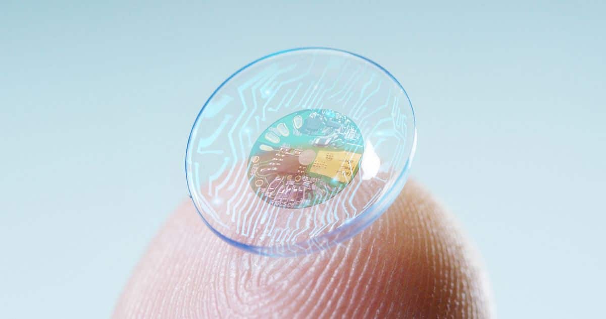 chytra sosovka