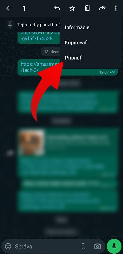 WhatsApp pripnutie spravy_2