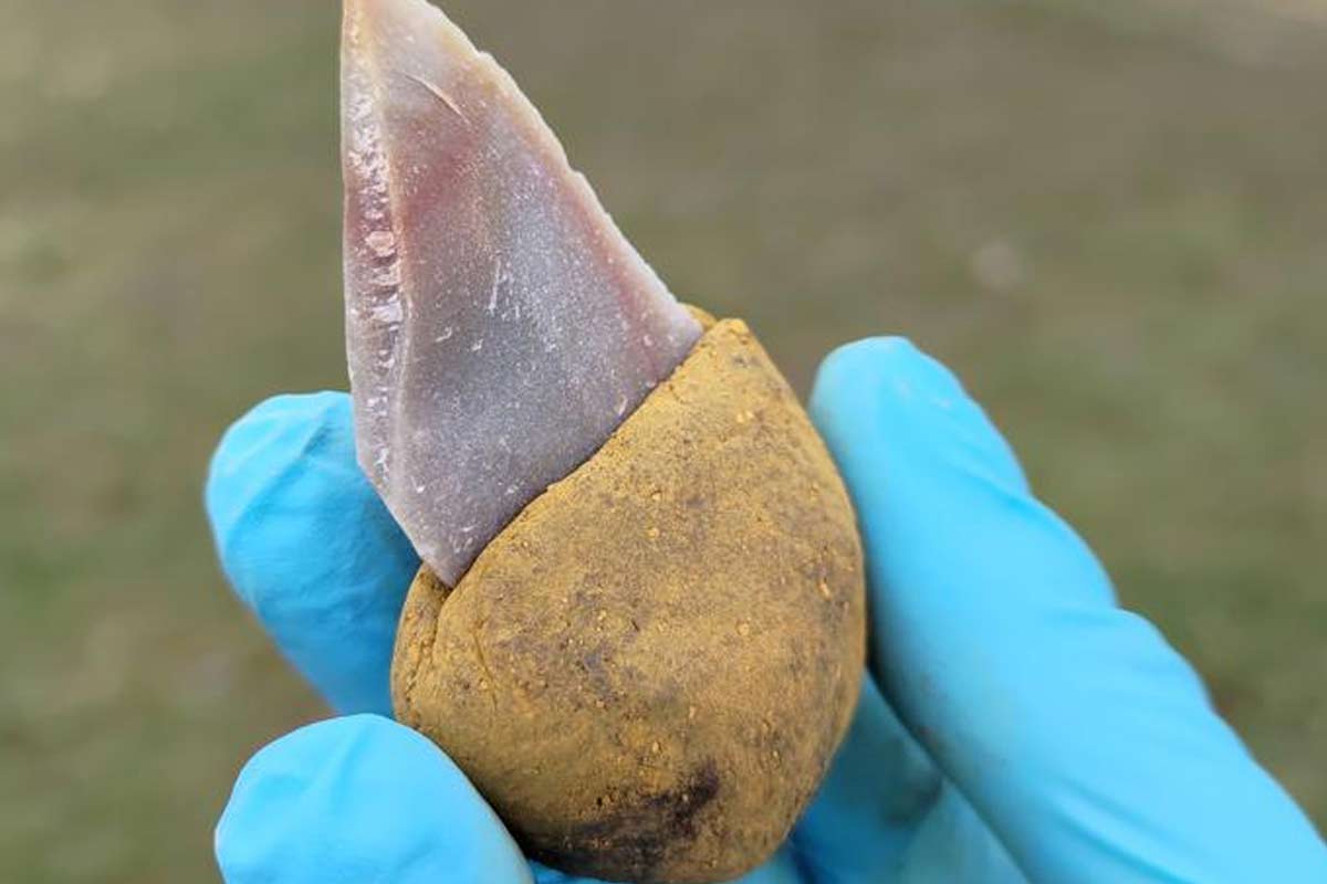 Poznali Neandertálci lepidlo?