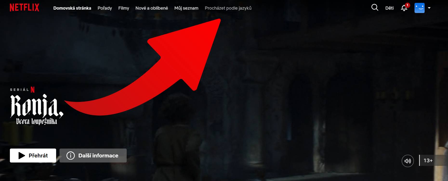ako prehladavat obsah netflixu podla jazyku