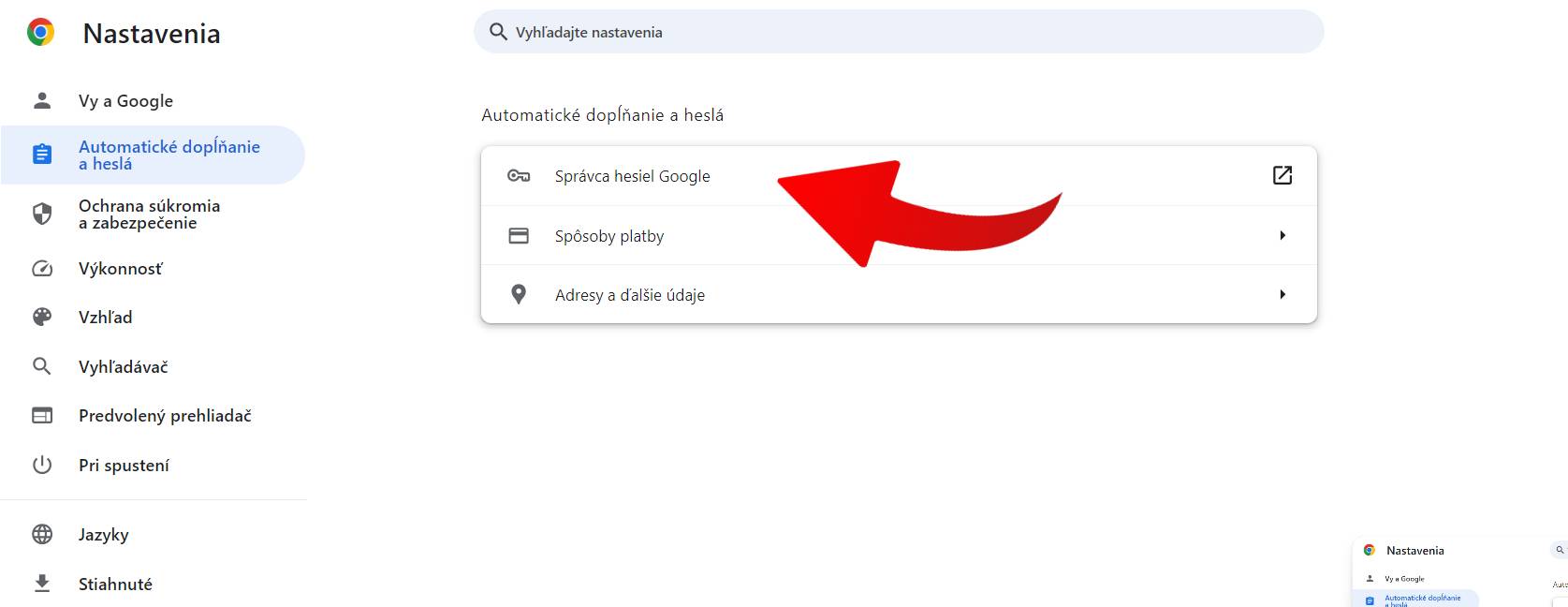 ako odkryt heslo k sluzbe navod_2