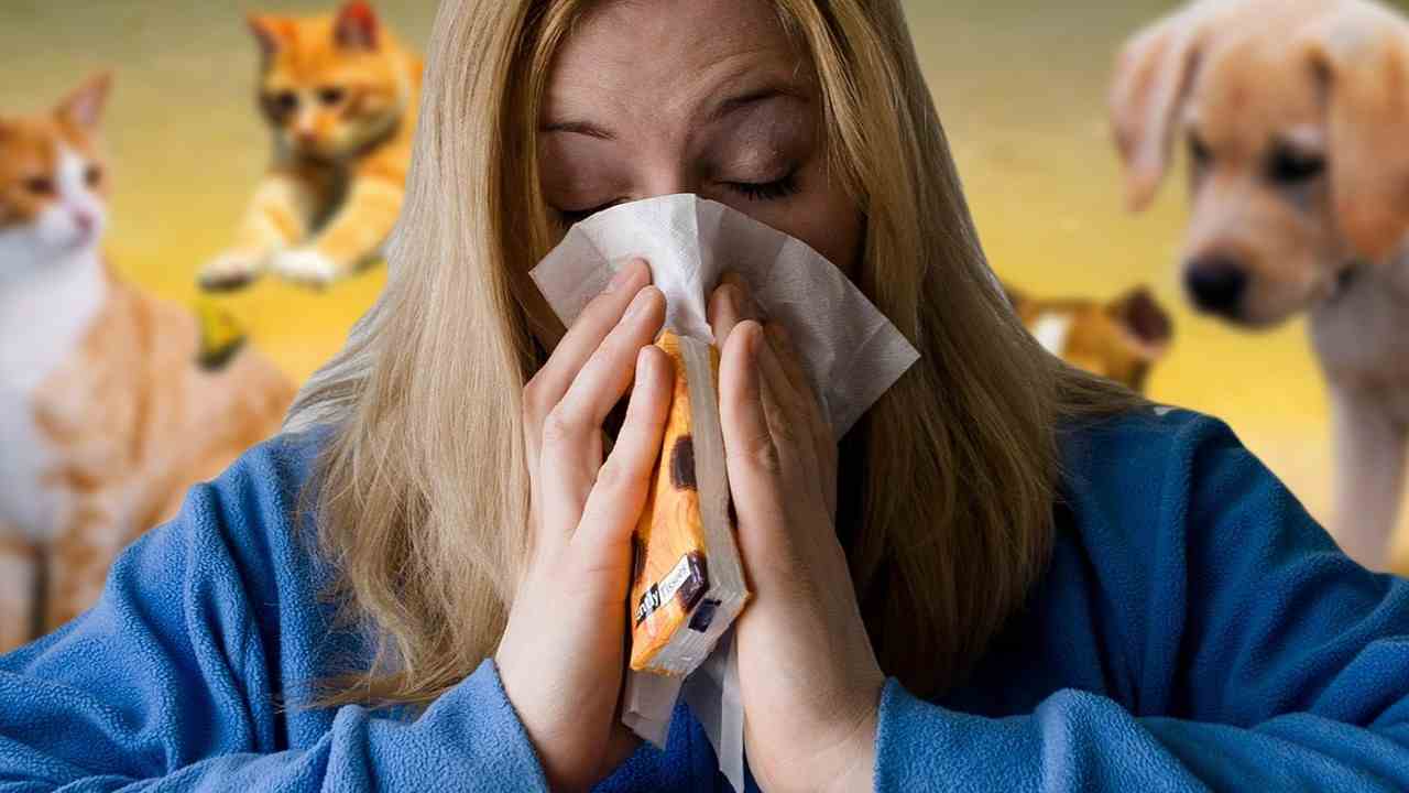 choroba ludia a zvierata prenos_titulka
