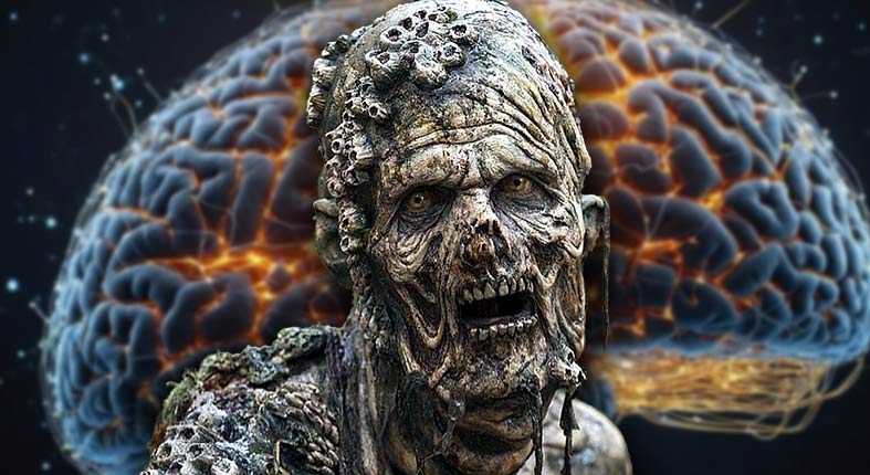 Zombie neuróny hrajú v našom mozgu dôležitú úlohu