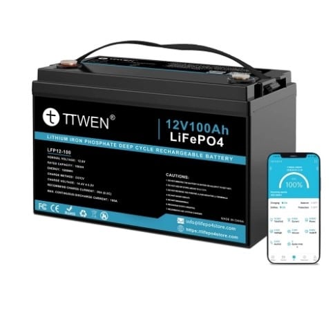 ttwen 100ah eshop