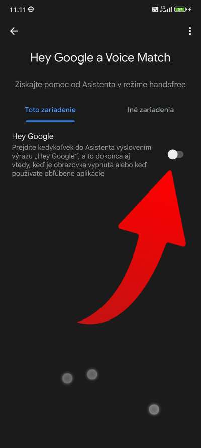hey google vypnutie