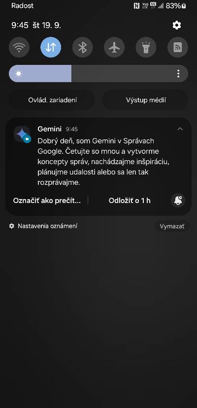 Google Gemini Slovensko v aplikacii spravy_1
