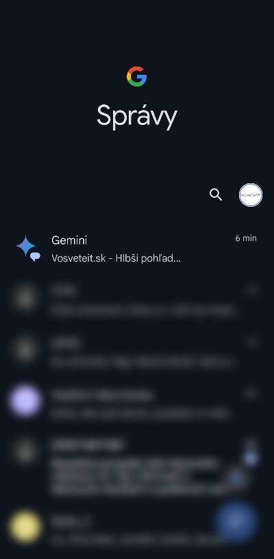 Google Gemini Slovensko v aplikacii spravy_2