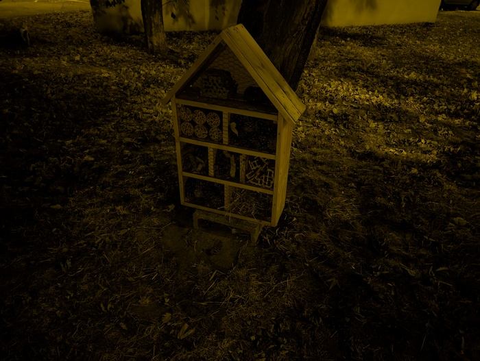 Google Pixel 9 Pro_vzorka snimky_bez nocny rezim_1