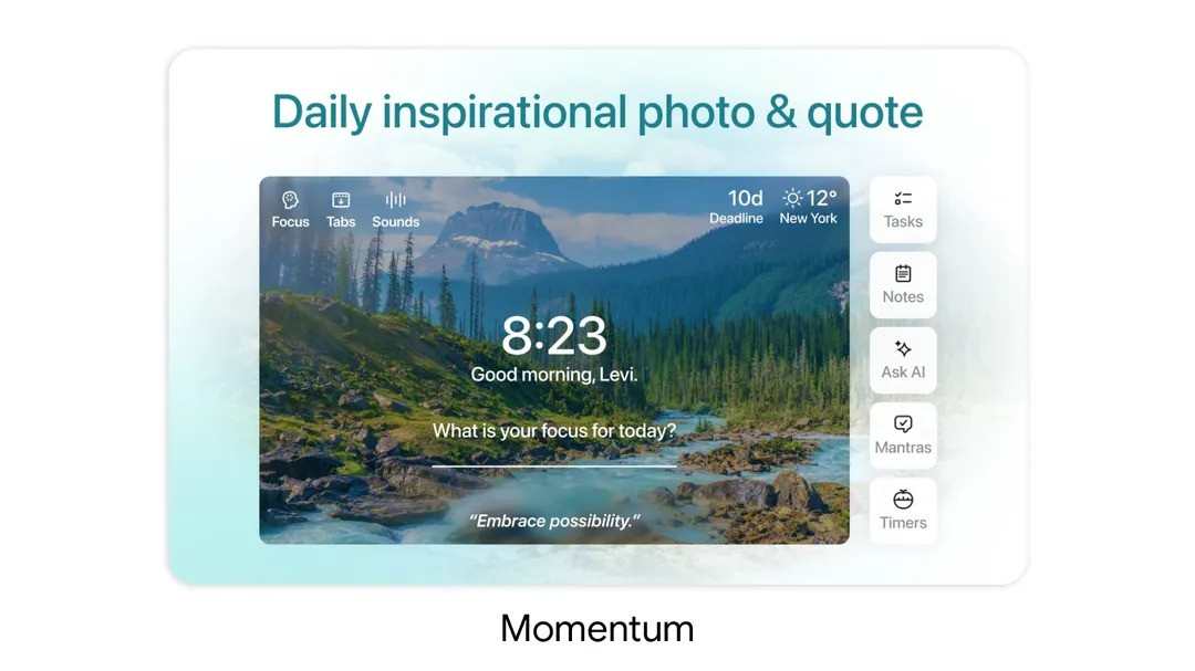 Momentum
