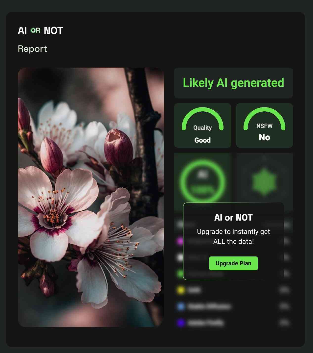 ai or not image
