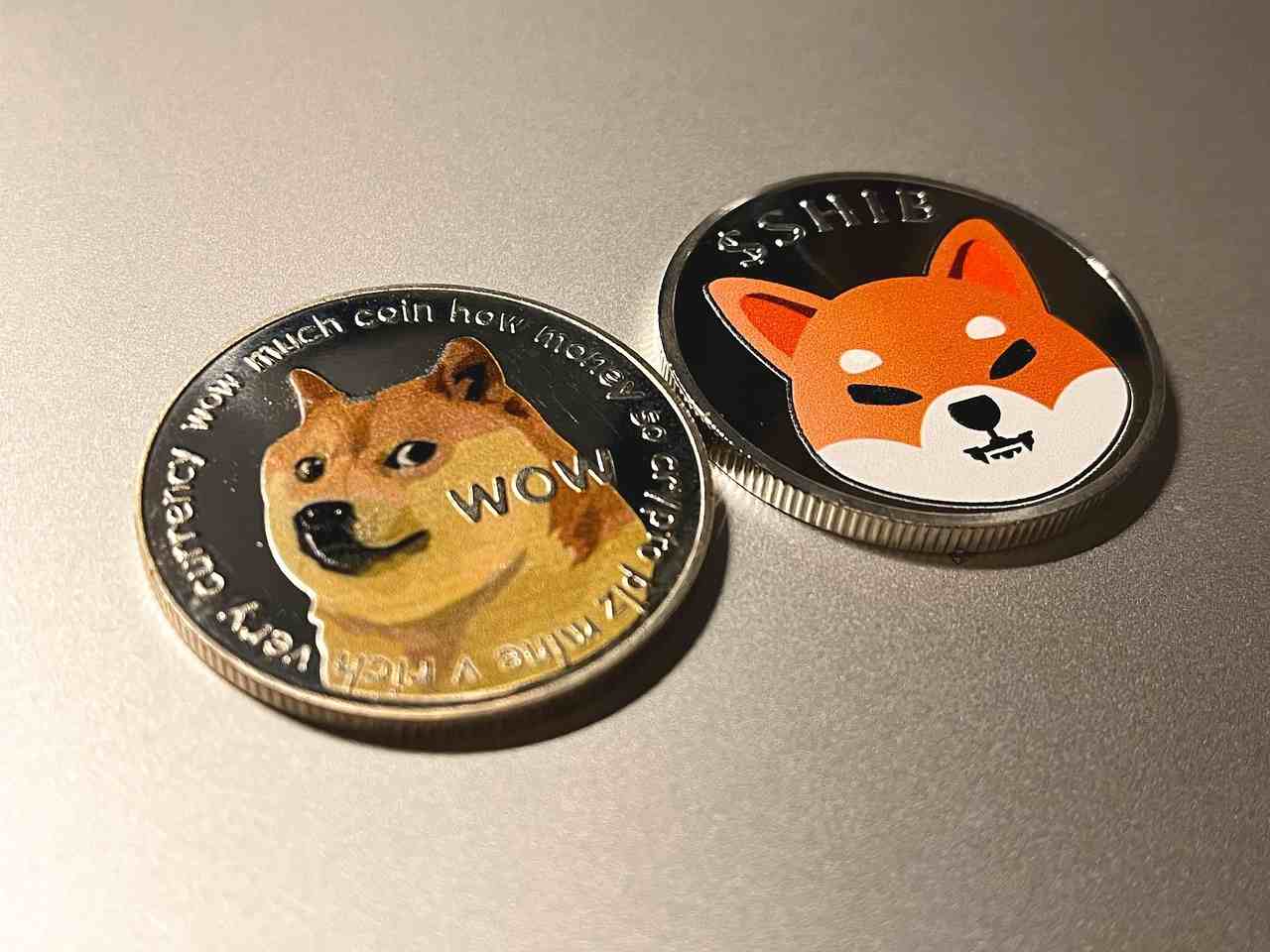Dogecoin a Shib coin memecoin