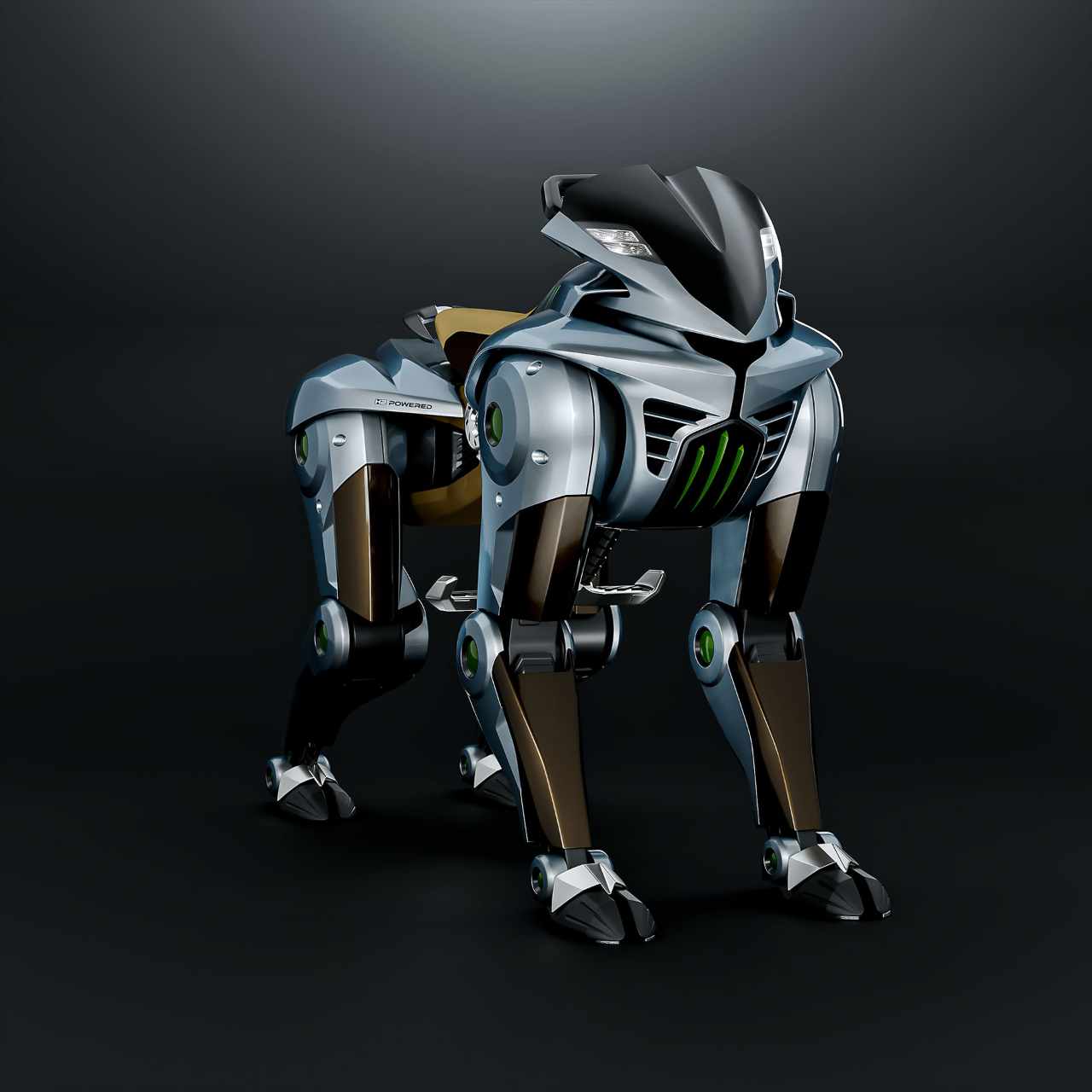 Kawasaki Heavy Industries Corleo