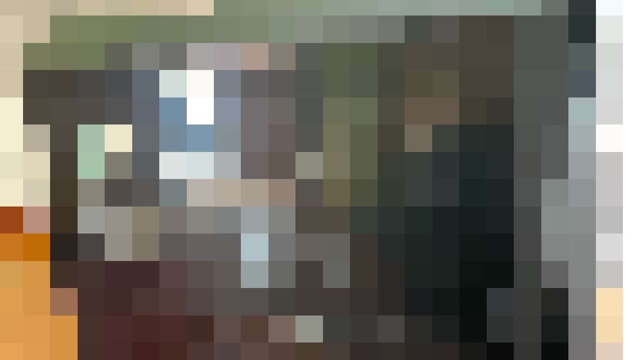 pixelizácia obrázkov v aplikácii Pixelizator
