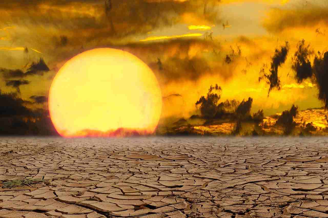 Klimatická zmena