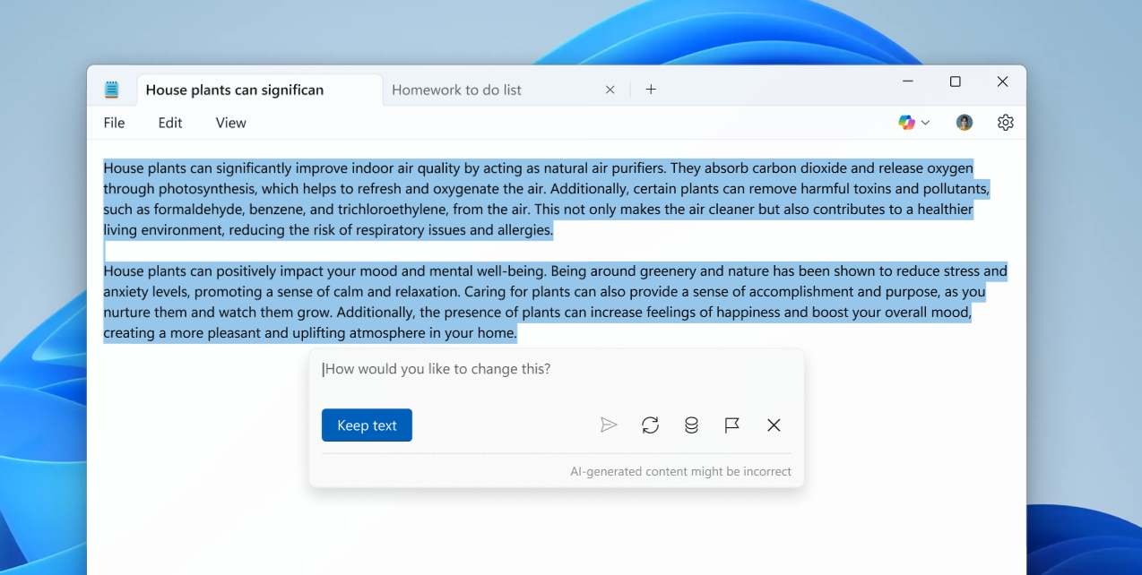 Windows 11 poznámkový blok