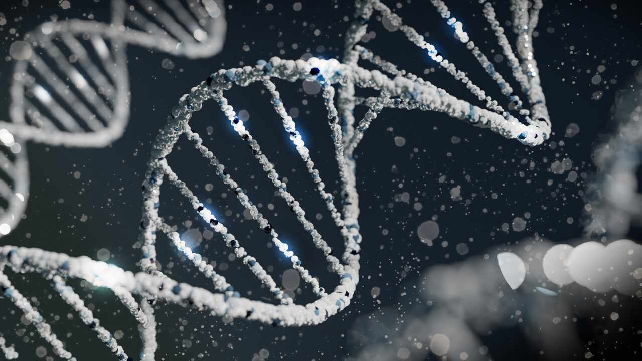 dna genetika