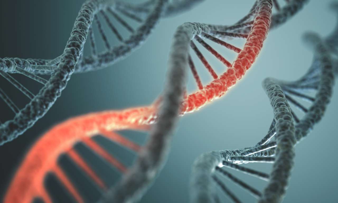 poskodena DNA