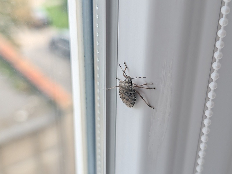 Google Pixel 10 Pro vzorky_detail_1 (2)