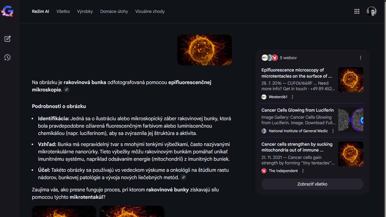 Google pridáva nové plus tlačidlo k vyhľadávaniu