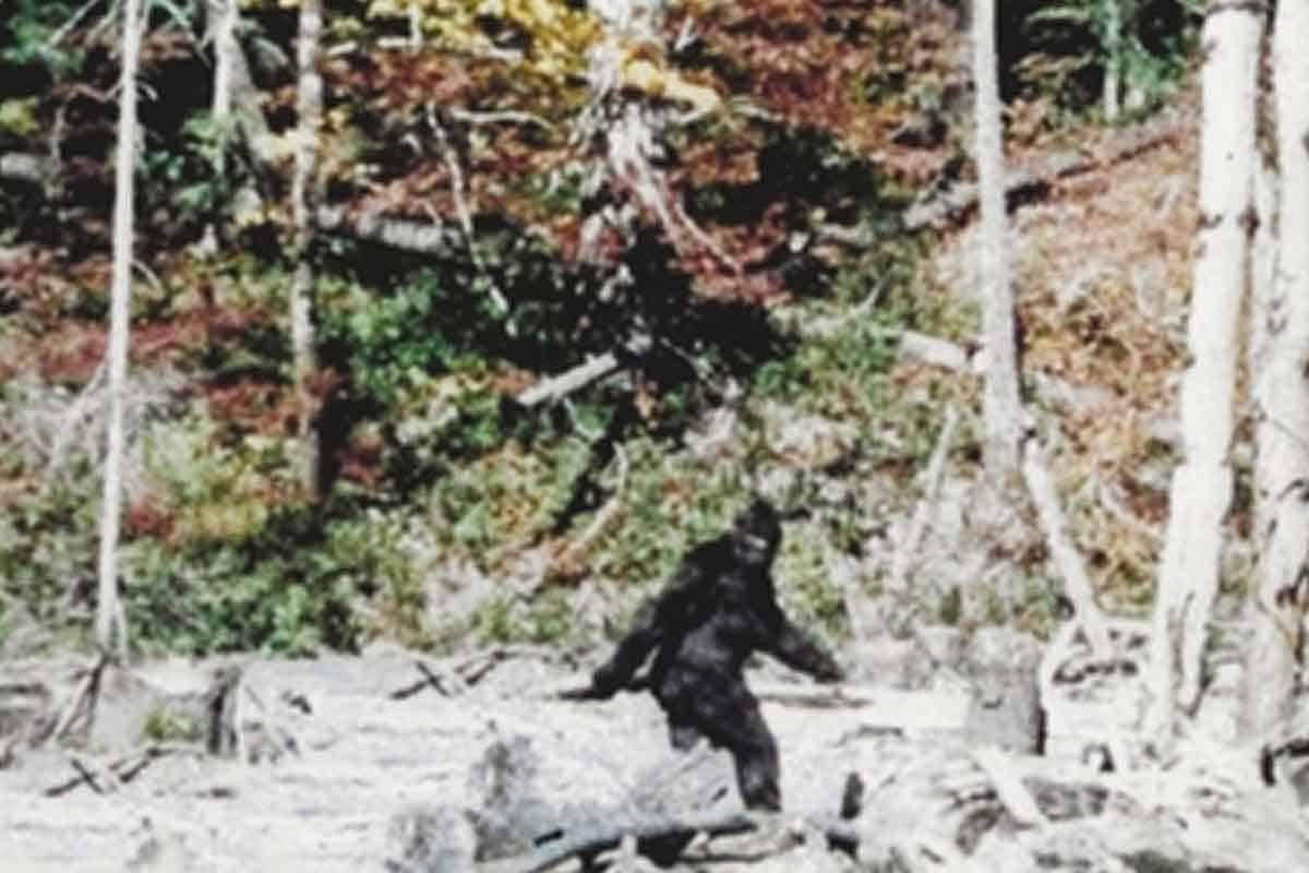 Vedci približujú ako vymrel skutočný Bigfoot