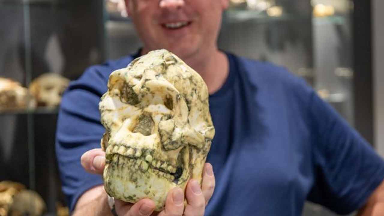 Výskumníci zisťujú, že ikonická fosília mohla patriť novému druhu človeka