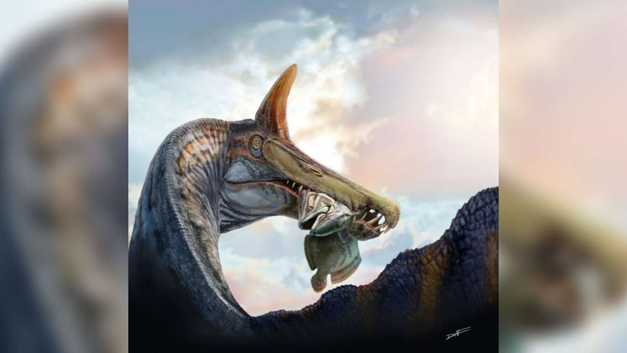 Spinosaurus