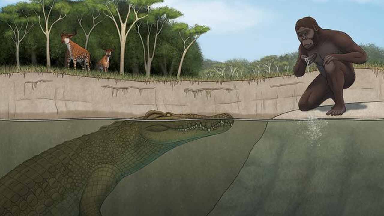 Crocodylus lucivenator je predátor, ktorý lovil aj predka Lucy