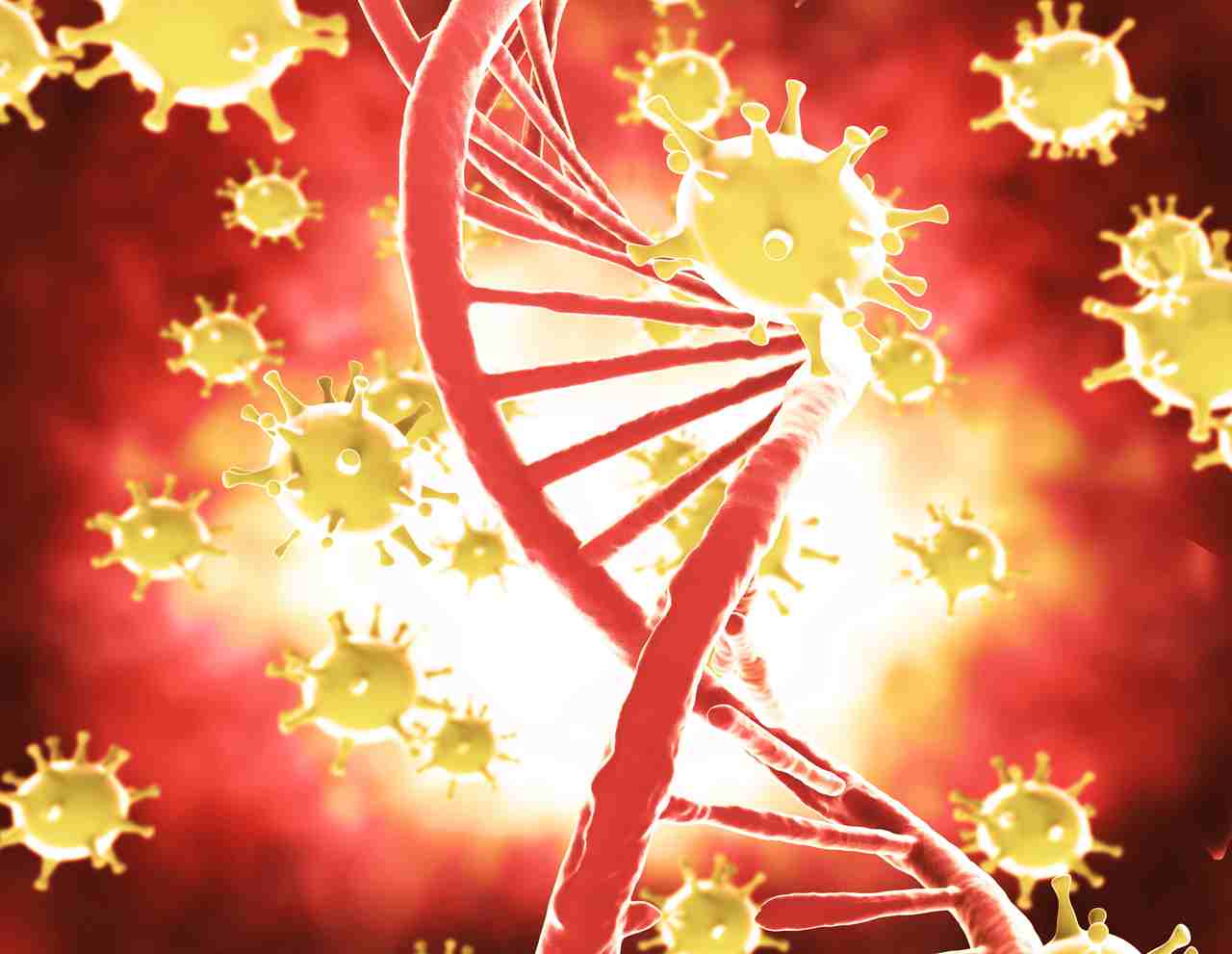 DNA virusy choroby