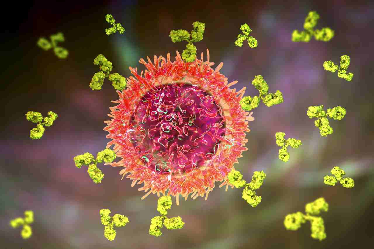 bunka rakovina virus choroba