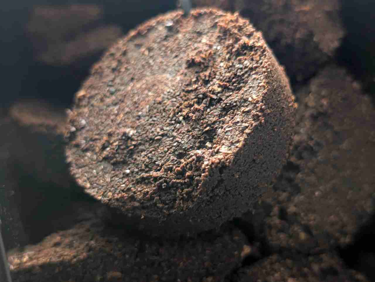 kavova usadenina_2.jpg
