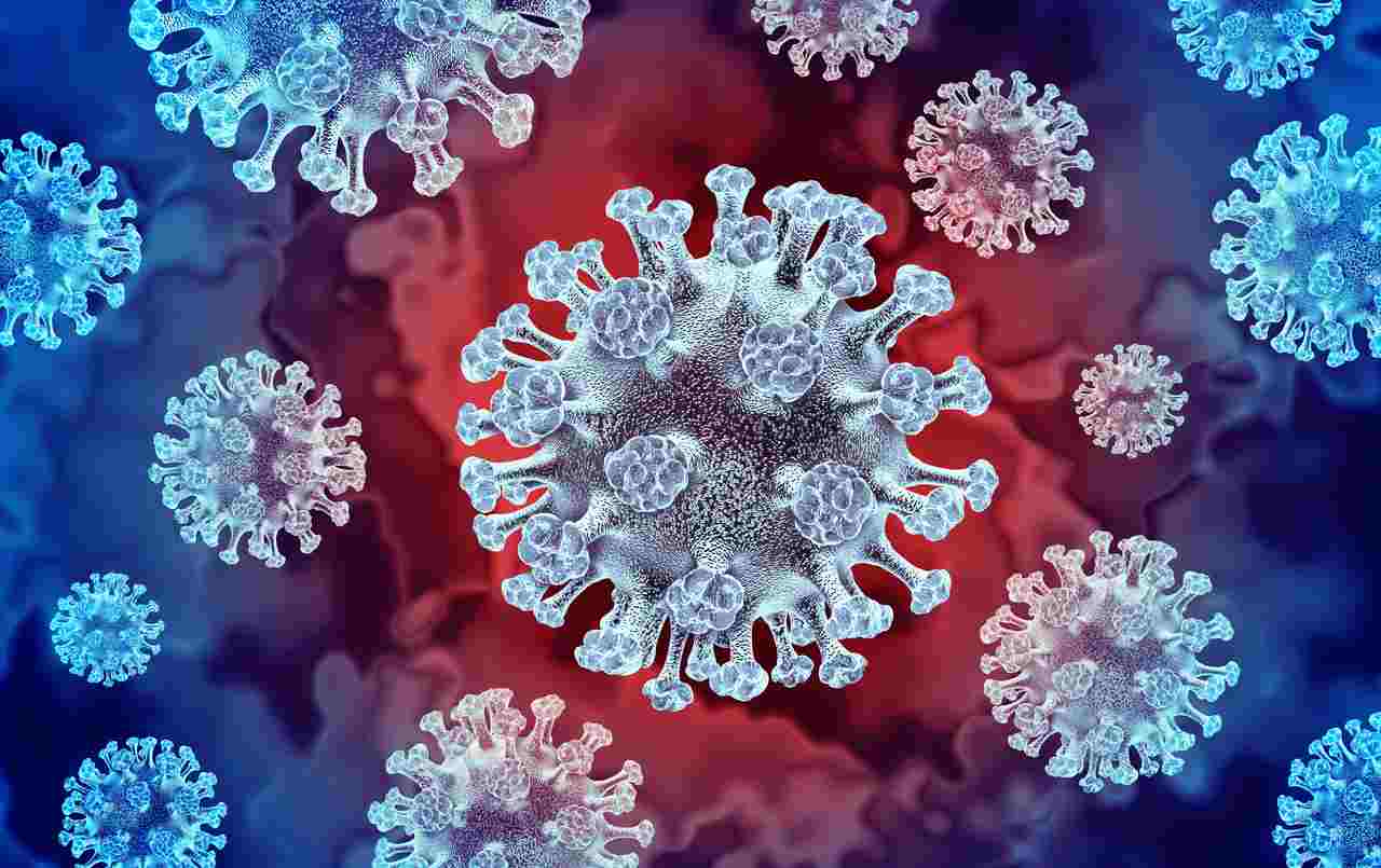 virus