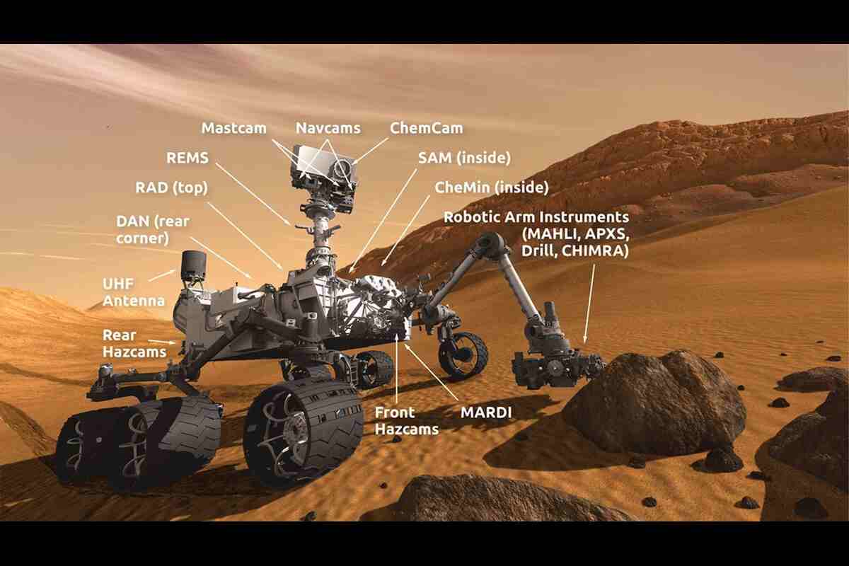 Rover