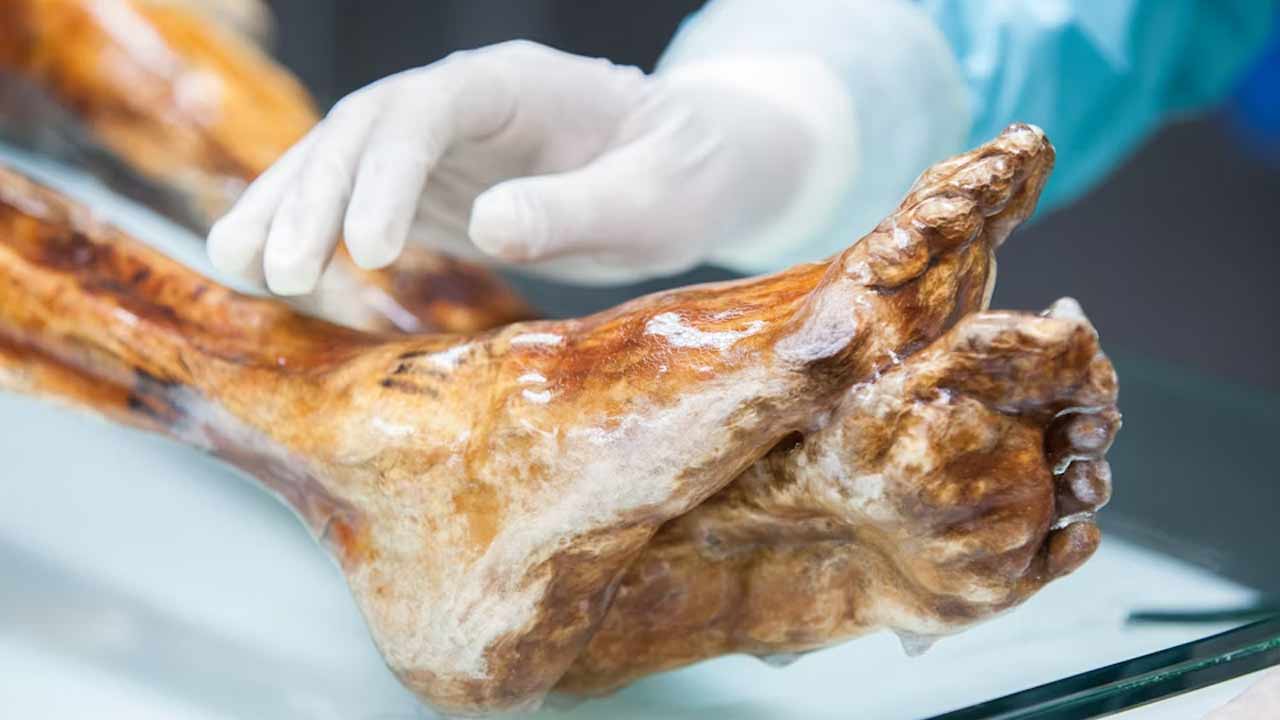 Výskumníci vykonali doteraz najdetailnejšiu genetickú analýzu Otziho, ľadového muža