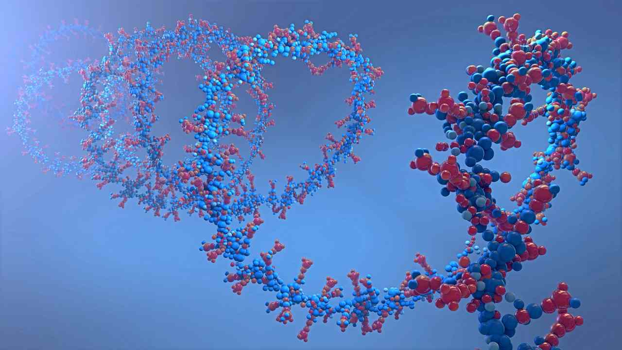 RNA