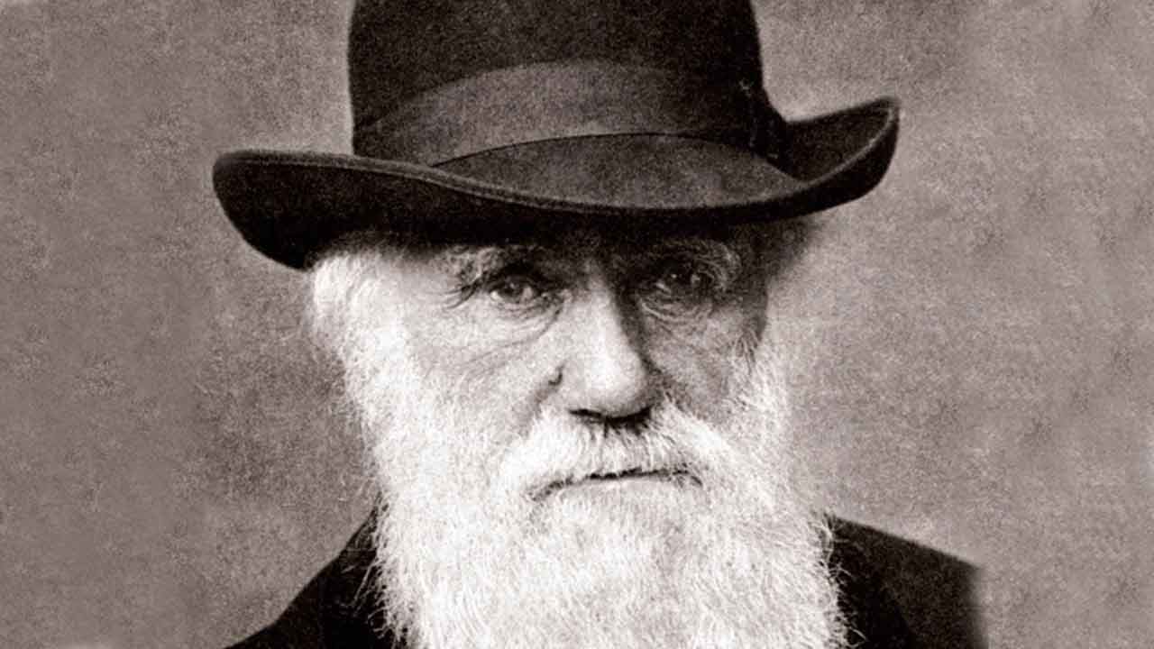 Výskumníci hovoria o rozšírení Darwinovej teórie prirodzeného výberu.