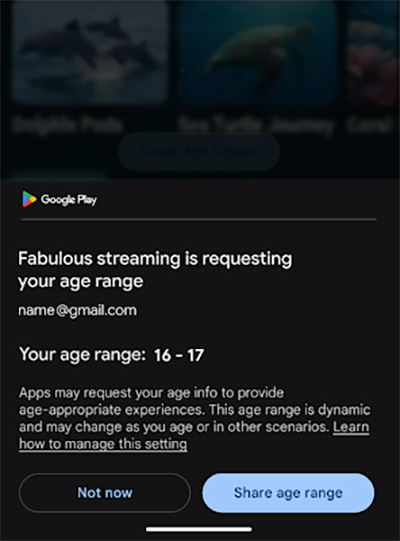 Google zlepší ochranu detí v rámci obchodu Play