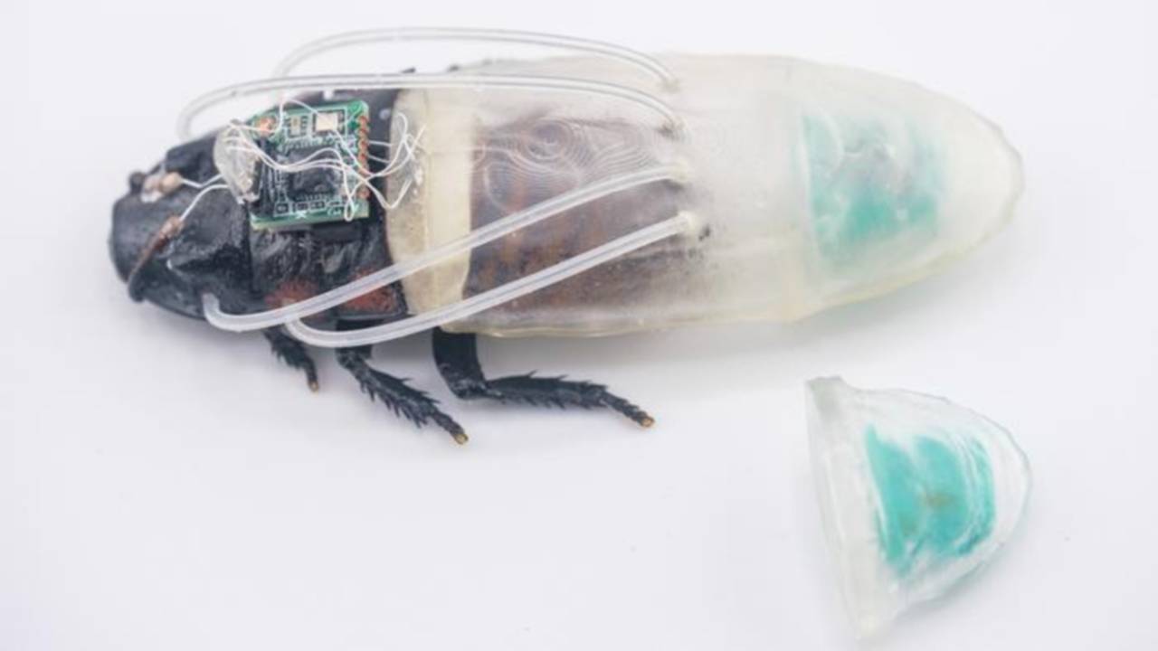 kyborg svab robot.jpg