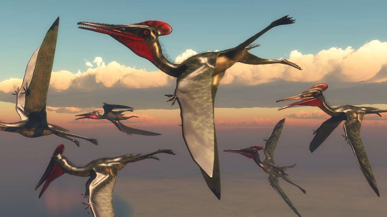 pterosaurus
