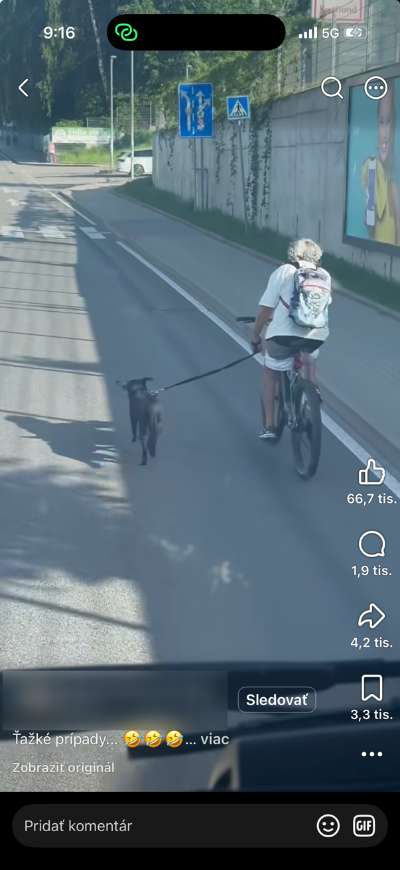 Facebook_instagram_autoplay videa