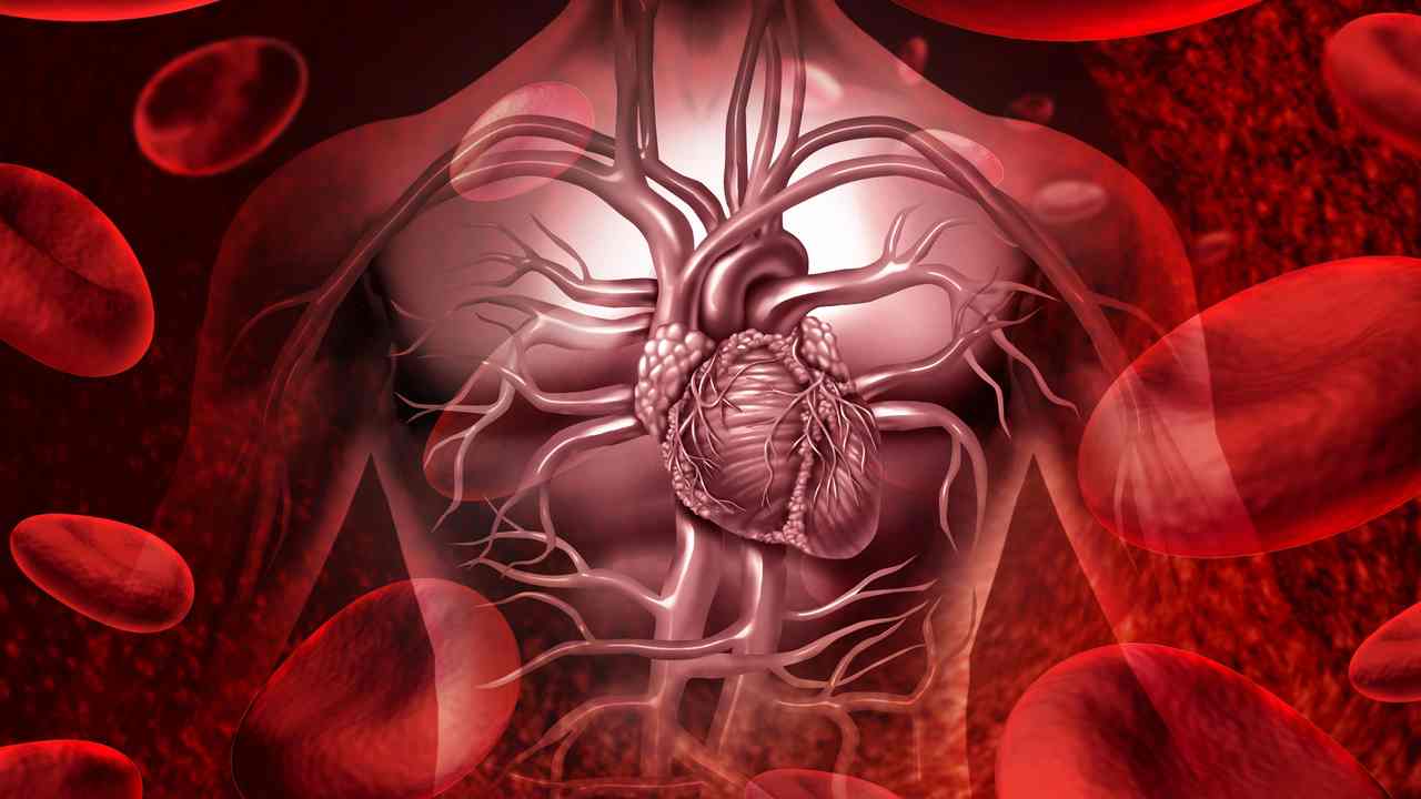 srdce krv infarkt