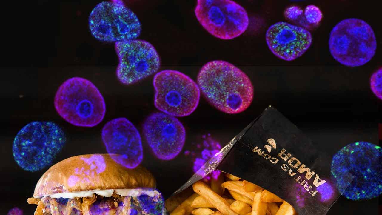 Spracované potraviny výrazne zvyšujú riziko rakoviny