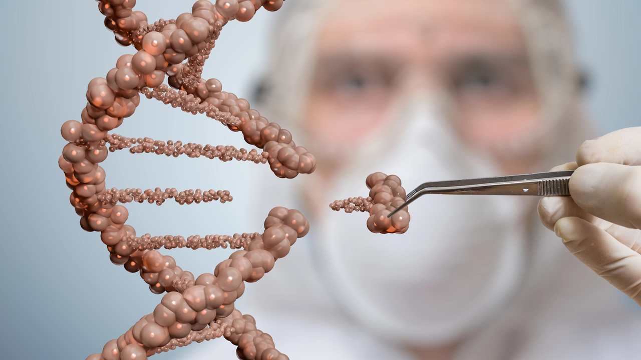 DNA zivot